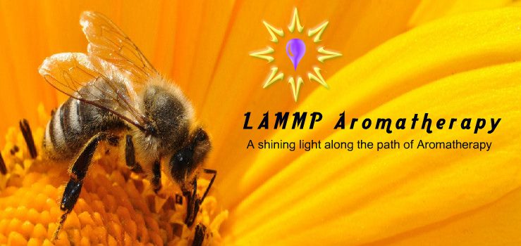 LAMMP Aromatherapy